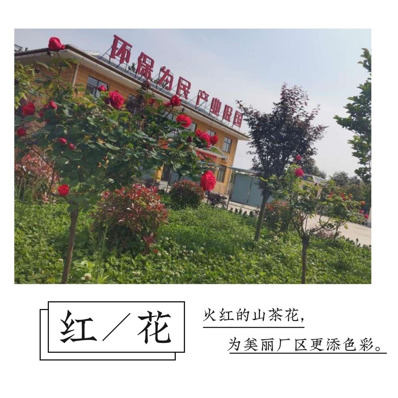 平博·(pinnacle)中国官方网站