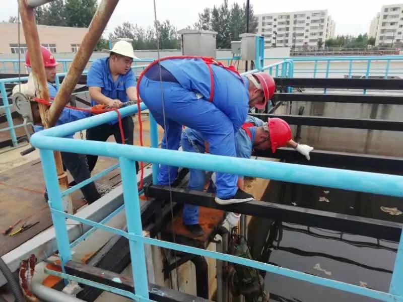 大荔公司员工李增虎同志喜获平博集团新时代“三线精神”传承人声誉称呼